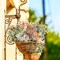 Artificial Flowers Wildflowers Silk Daisy Spring Fake Daisies Decoration Summer UV Resistant Colorful Mixed Bundles Faux Greenery Outdoor Plant Stem Filler for Home Decor Indoor Floral Arrangements